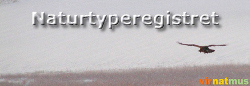 Naturtyperegistret (45K)