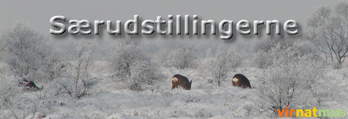 Srudstillingerne (6K)